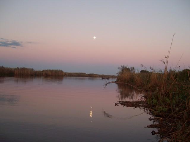 Delta forever - sany1222.JPG